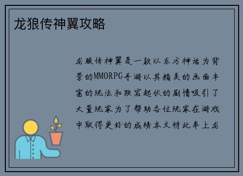 龙狼传神翼攻略